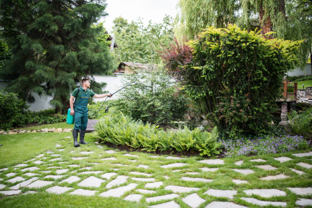Best Wildlife Control Services  in Astatula, FL