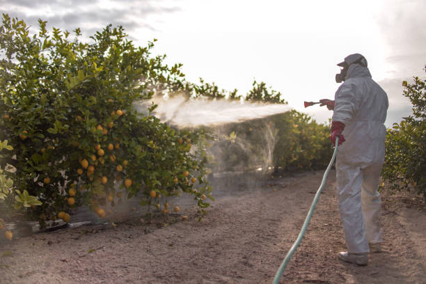 Best Best Pest Control Companies  in Astatula, FL